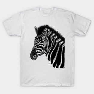 Chapman's zebra - ink illustration T-Shirt